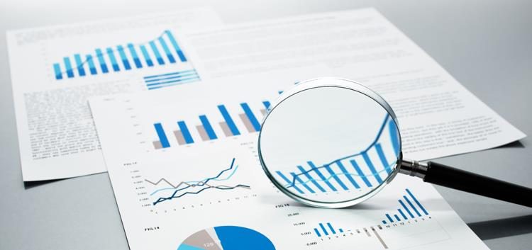 project management statistics report
